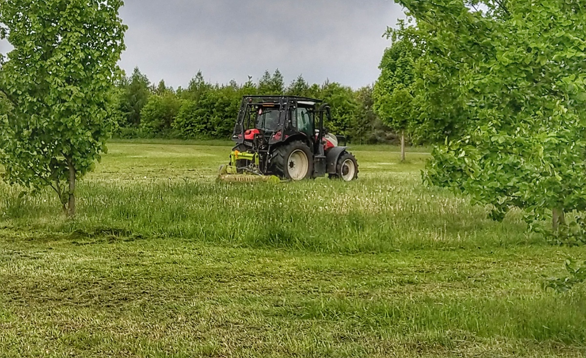 大型割草车摄于布拉格