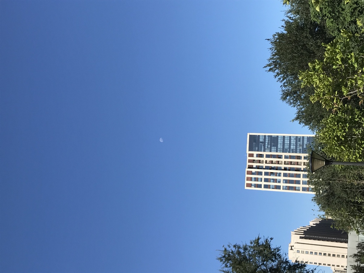 9月8日早上的八九点月牙依然高高的挂在天空月牙再加上蓝蓝的天空今年