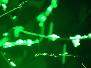 Optional("664C6FEB-B631-4F8F-9AEF-FA9B89840C4B/L0/001")