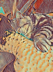 001