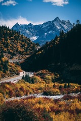 495548