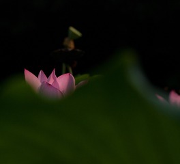 未命名-2-46
