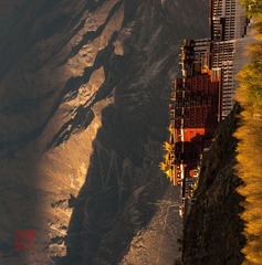 33540