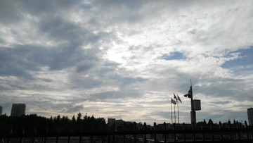 259