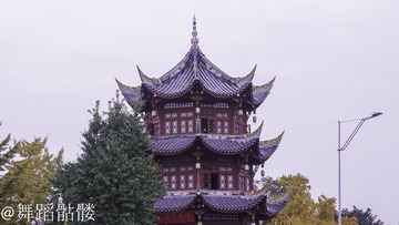 02893B4D-26DE-4EF7-9230-06DC0BCC8D1D/L0/001