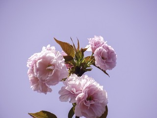C103A431-27C3-45FB-BE43-30E3064F5AE2/L0/001
