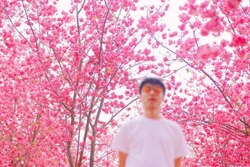 155B2289-A7E2-4696-8623-DB6F660E276E/L0/001