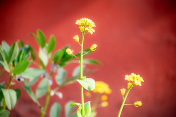 99906D6D-5D69-4BFA-AE96-12B2867D4A6D/L0/001