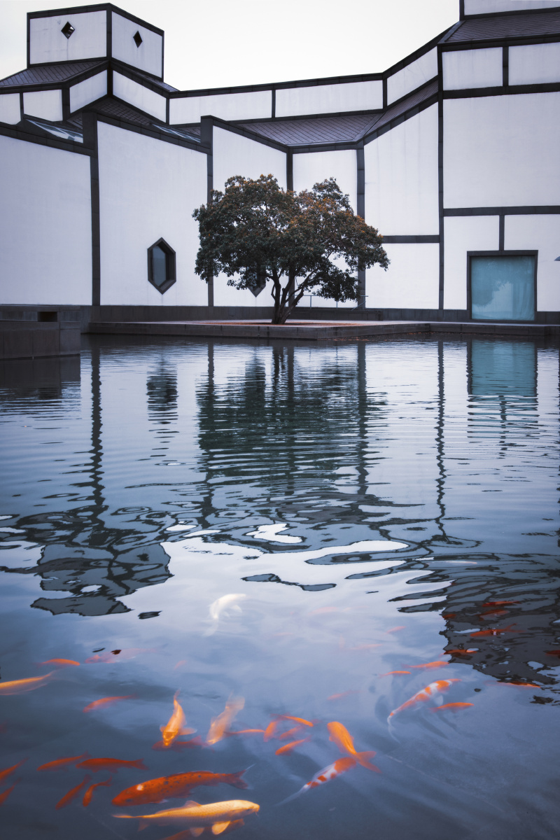 鱼翔浅底苏州博物馆