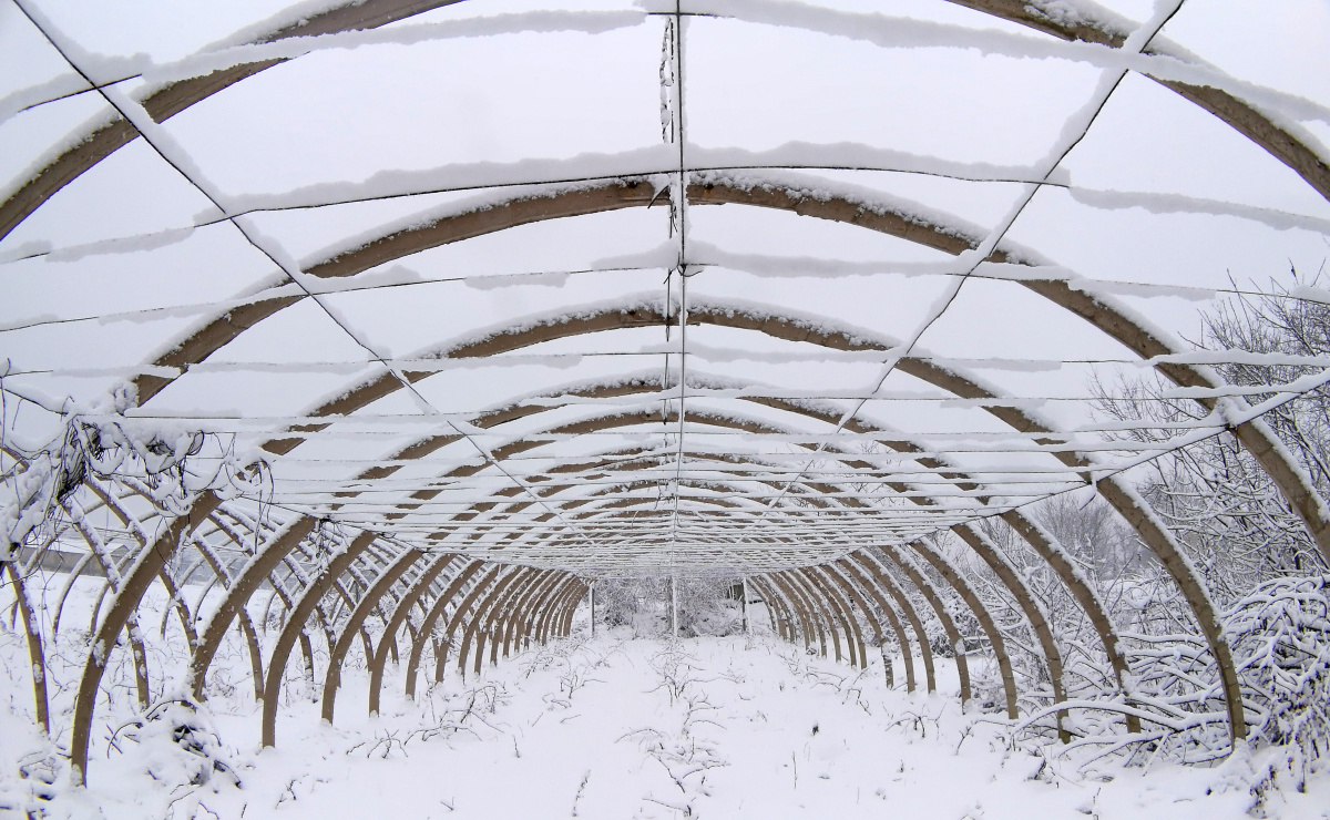 大棚雪韵 - liyunlong - 图虫网 - 优质摄影师交流社区