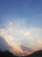 484