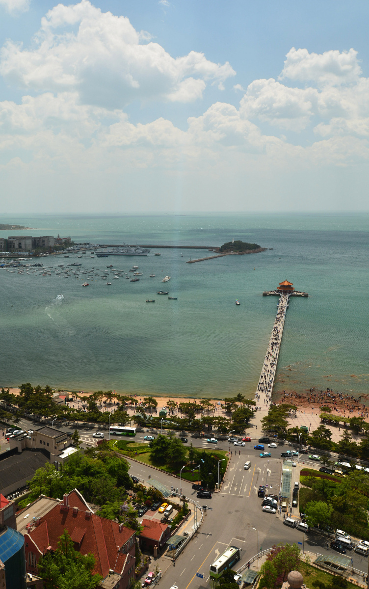 长门岩耐冬关注