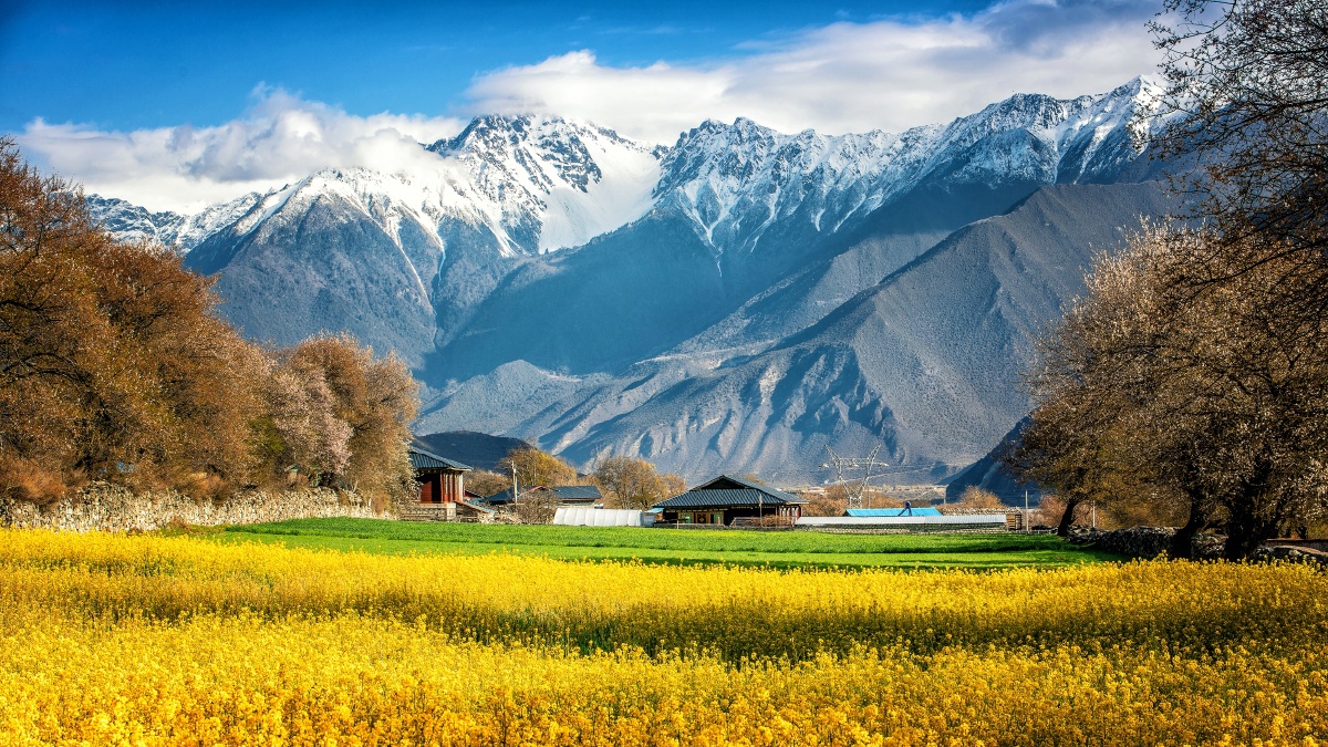 波密如纳村风光导航如纳村从318下道乡村路一路上美景不断四月初的