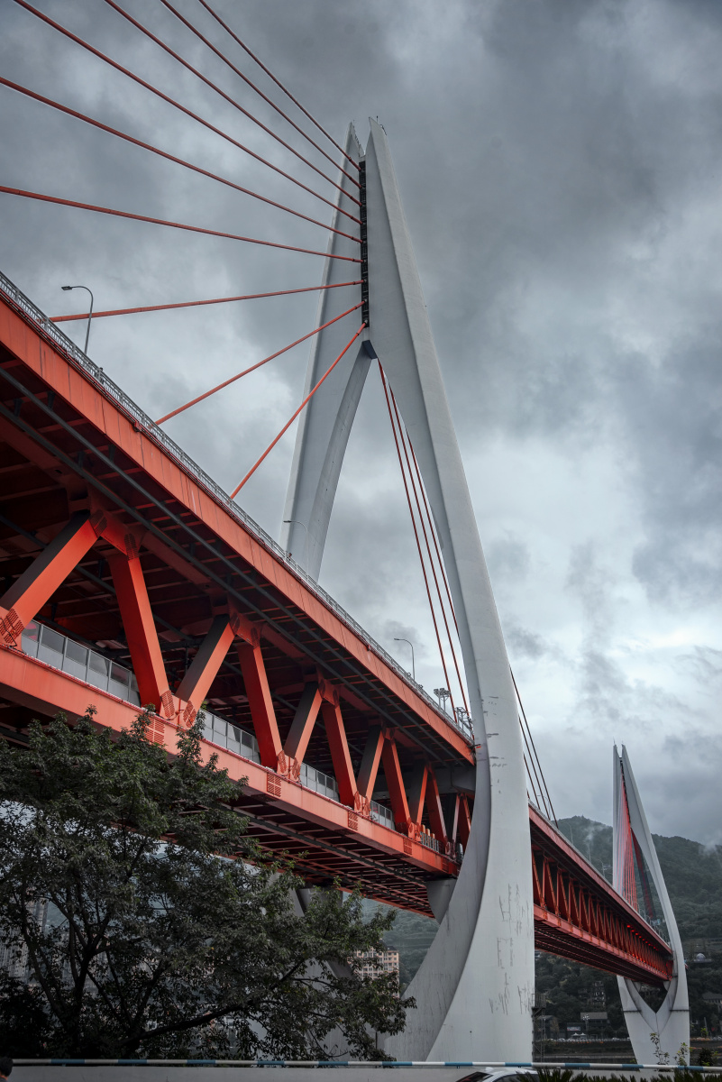 重庆千厮门大桥