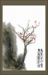 梅花