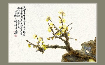 梅花1