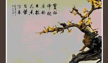 梅花2