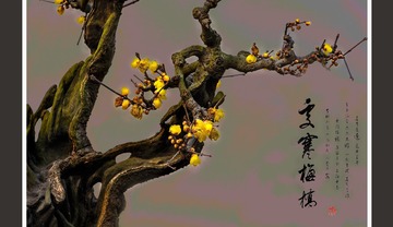 梅花3
