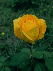 1120121