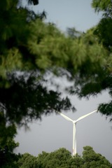 4DA70F1F-FA09-4634-A5CB-F5D39752CF81/L0/001
