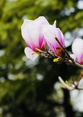 8B72EF2B-AD57-4B8F-88ED-380AE7890821/L0/001