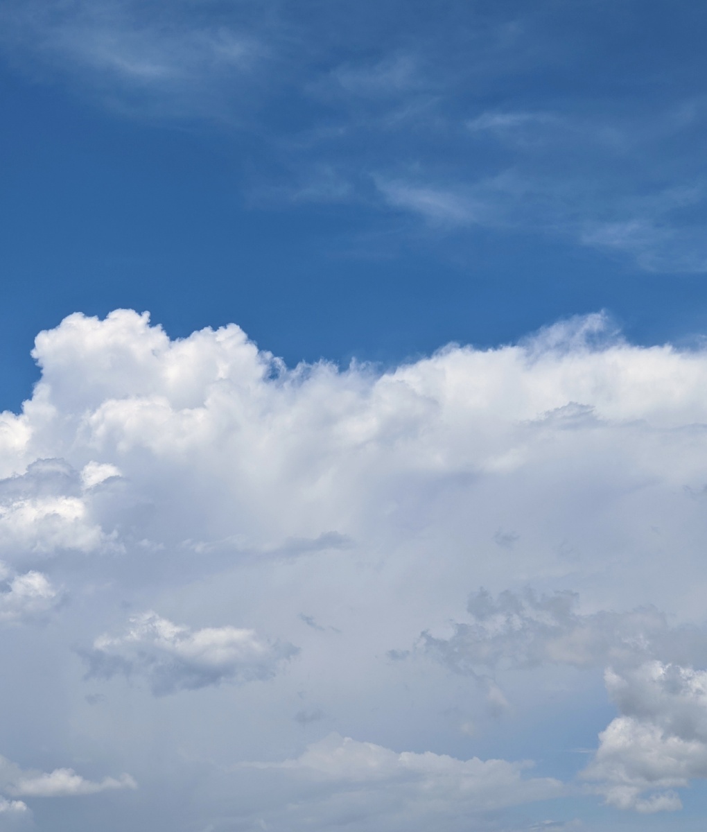 这湛蓝的天空和洁白的云朵我已经好多年没见过了拍摄地点:郊外