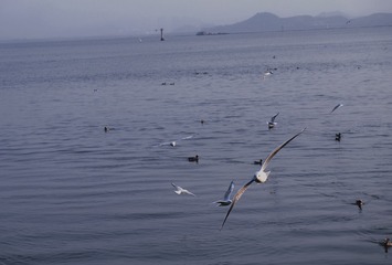 07F5218F-6641-4F94-A489-F5AEDB40E7F4/L0/001