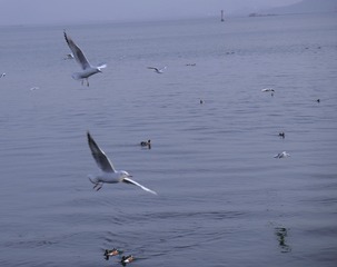 7979DC1B-BEA5-4D42-875F-1B0A1AC40DD5/L0/001