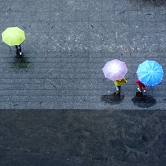 雨中音符