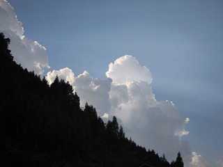 1000016551