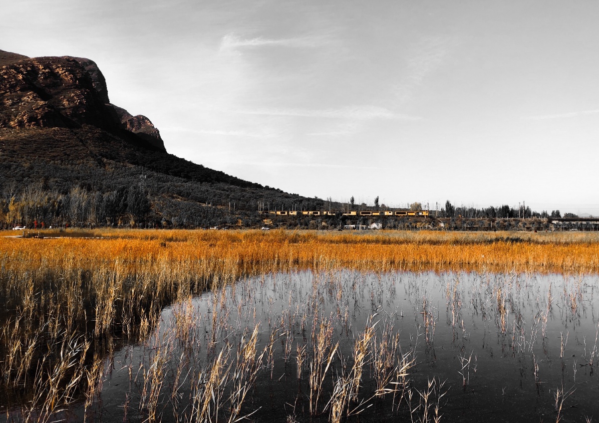 水平口湿地的秋色拍摄于河北省唐山市遵化水平口湿地公园