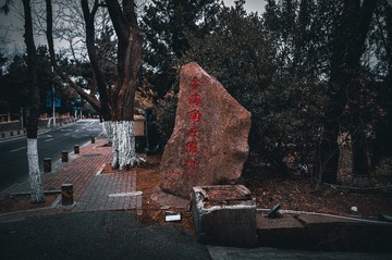 1000010095
