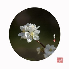 A92C6866-B8CC-439F-B58C-2C48512367AE/L0/001
