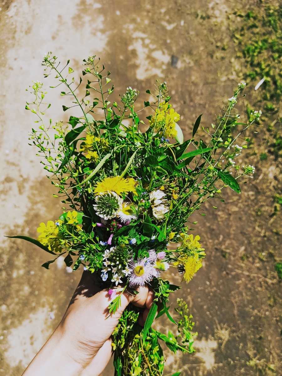 唯春光不可辜负野花野草也有被扎成花束的权利
