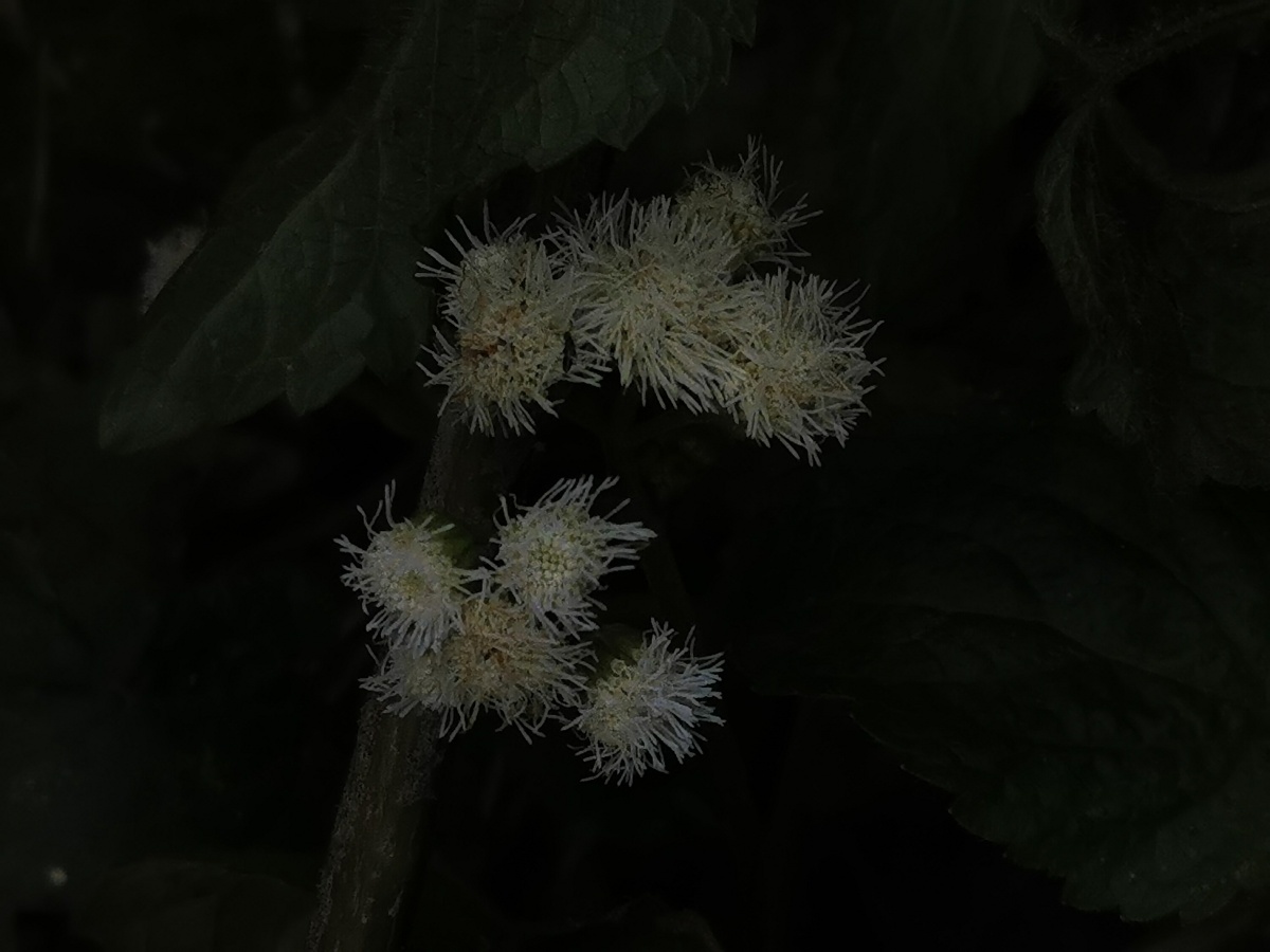 流水不争先,争的是滔滔不绝 - 风林半夏 - 图虫