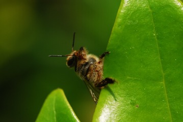 ZQY_0192