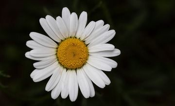 IT6A6764