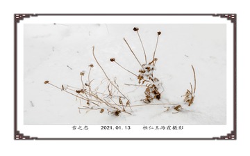 1928204
