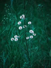 184C7581-9B3E-47FA-A733-BBB789F3F9DF/L0/001