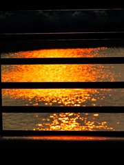 F1C70471-5E7A-4ABC-916D-5C3A5BF7004A/L0/001