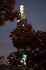 2024_1123_23071400
