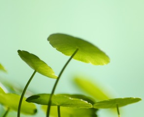 695