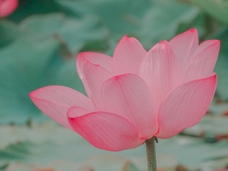 1181552