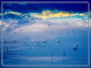 6S2A0019-01-mm_