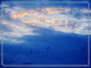 6S2A0015-03-mm_
