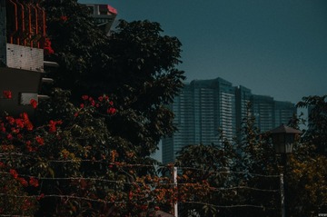 712004