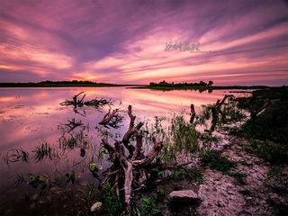_FJ18366-1q