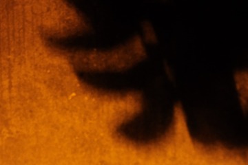 32D9586B-BE68-4FAC-B87F-DAEE559F2C57/L0/001