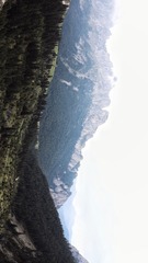 1000012006