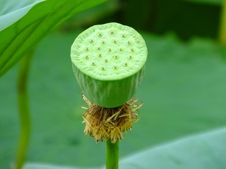 10328